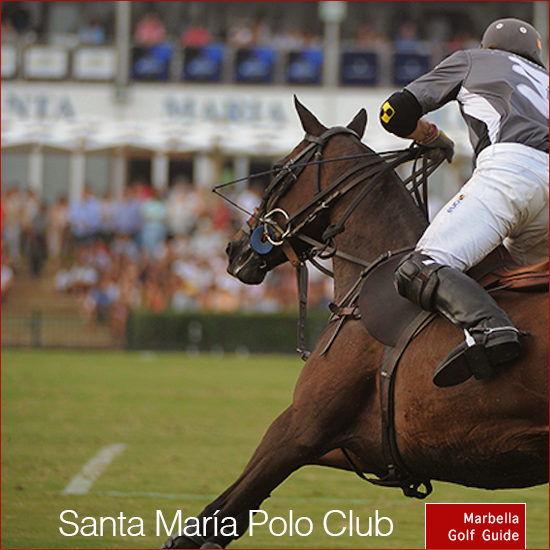 Santa María Sotogrande polo club